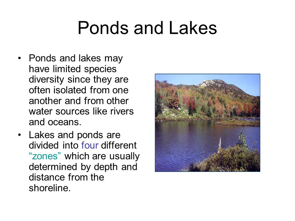 Freshwater Biome. Freshwater Freshwater is defined as having a low salt  concentration — usually less than 1%. Plants and animals in freshwater  regions. - ppt download