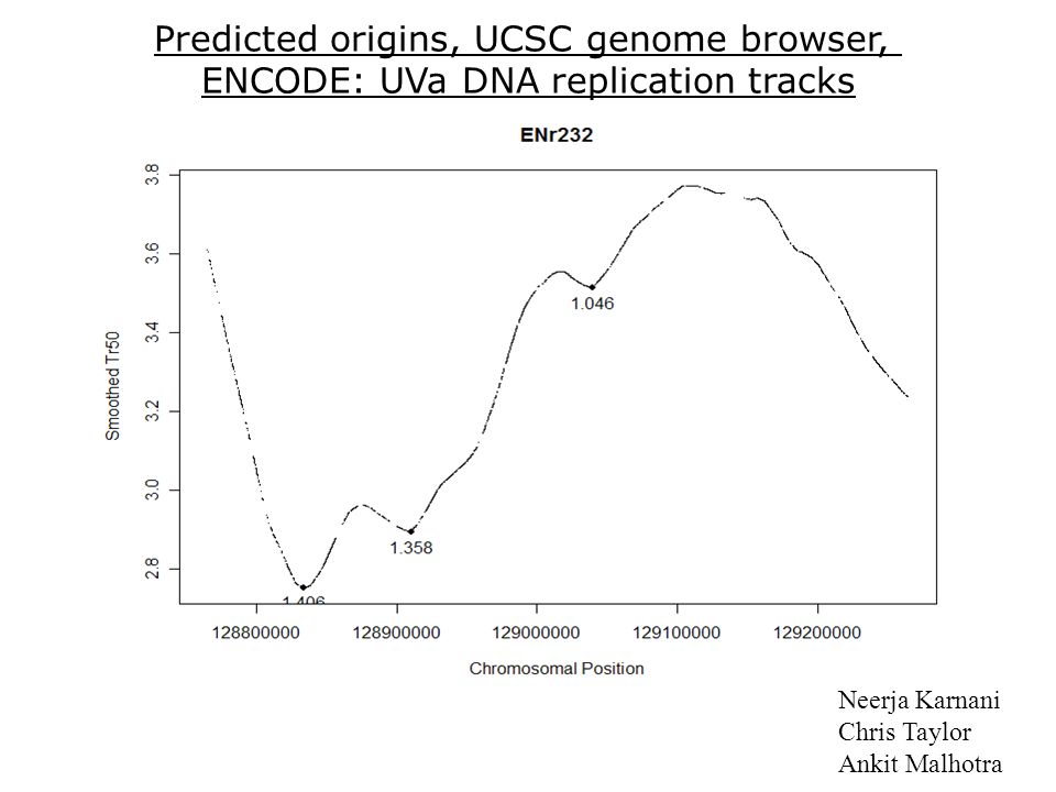 Predicted origins, UCSC genome browser, ENCODE: UVa DNA replication tracks Neerja Karnani Chris Taylor Ankit Malhotra