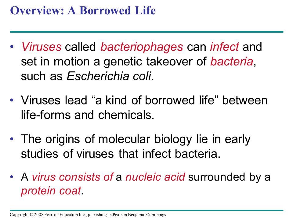 Copyright © 2008 Pearson Education Inc., publishing as Pearson Benjamin Cummings Overview: A Borrowed Life Viruses called bacteriophages can infect and set in motion a genetic takeover of bacteria, such as Escherichia coli.