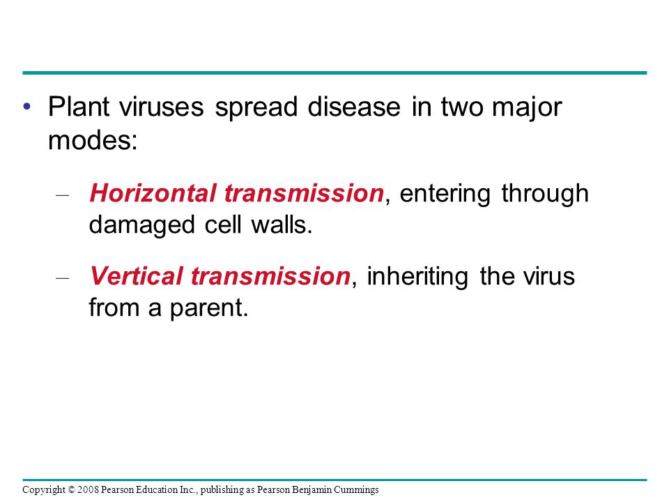 Copyright © 2008 Pearson Education Inc., publishing as Pearson Benjamin Cummings Plant viruses spread disease in two major modes: – Horizontal transmission, entering through damaged cell walls.