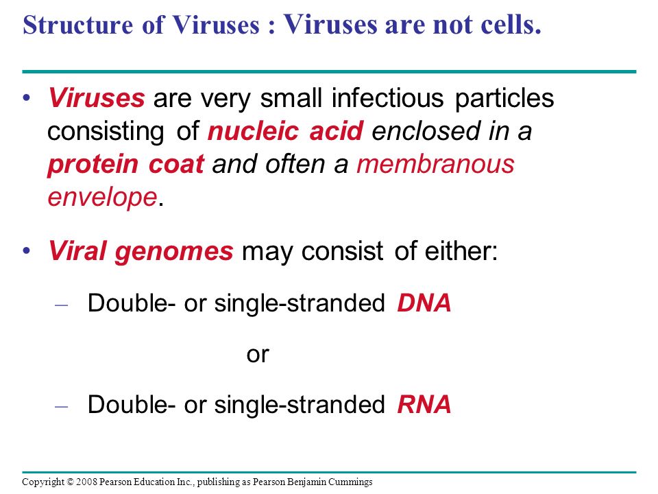 Copyright © 2008 Pearson Education Inc., publishing as Pearson Benjamin Cummings Structure of Viruses : Viruses are not cells.
