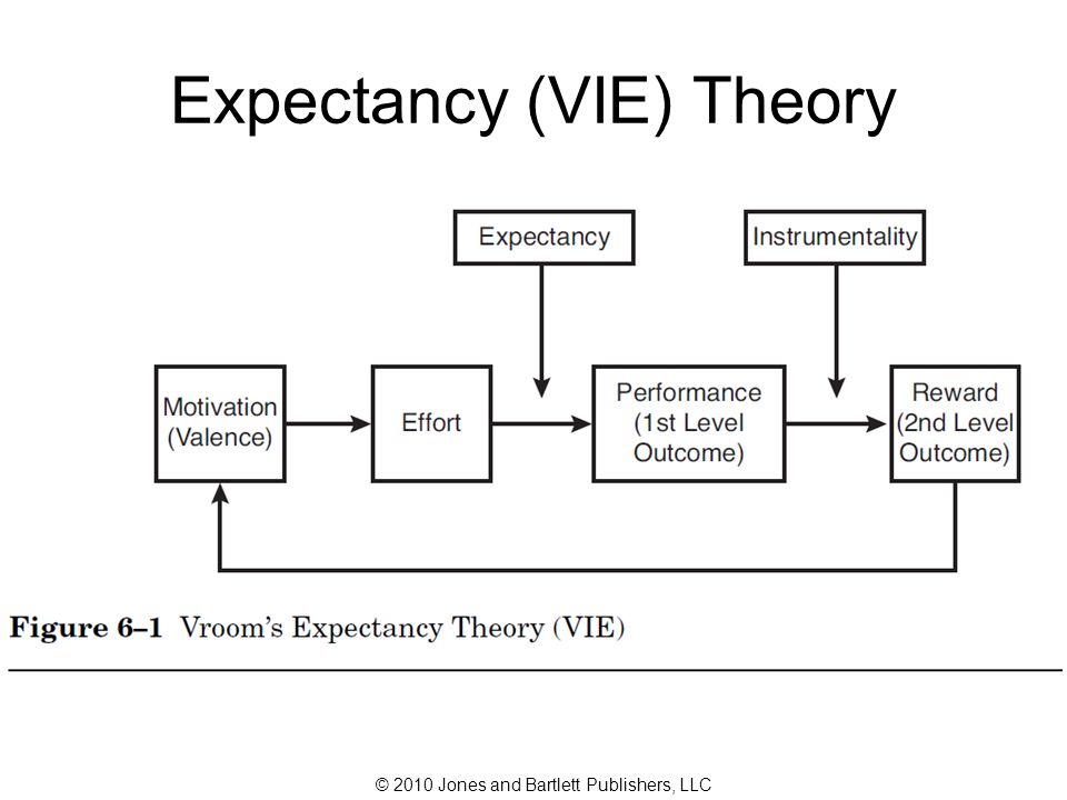 vie theory