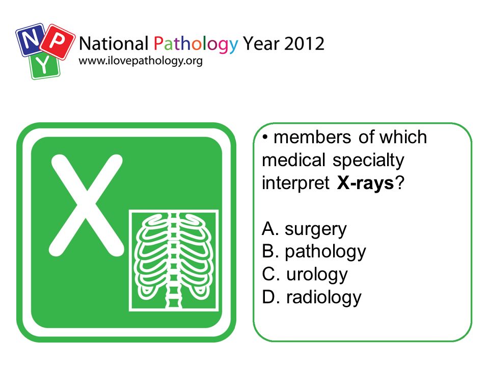 members of which medical specialty interpret X-rays.