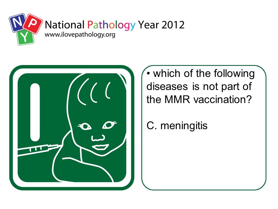 which of the following diseases is not part of the MMR vaccination C. meningitis