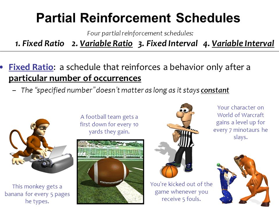 schedules of reinforcement cartoon