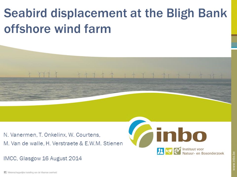 Seabird displacement at the Bligh Bank offshore wind farm N.