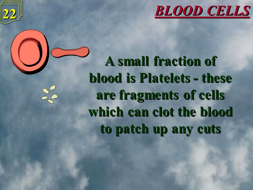 BLOOD CELLS 21 Red Blood Cells make up just under half the blood - they contain Haemoglobin which carries oxygen around Red Blood Cells make up just under half the blood - they contain Haemoglobin which carries oxygen around