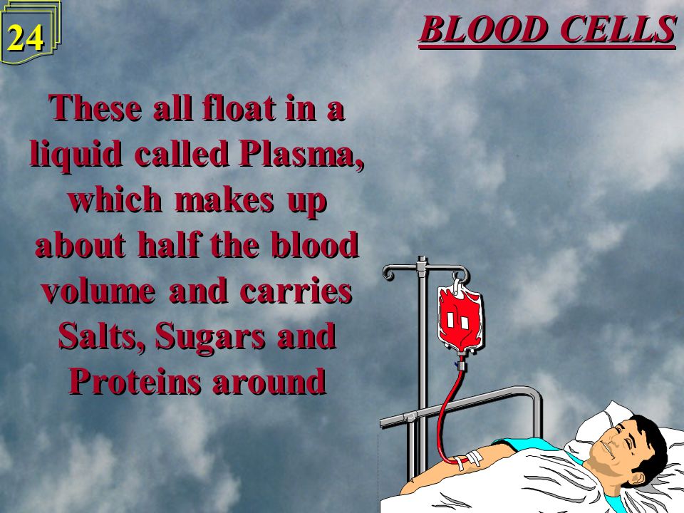 BLOOD CELLS 23 White Blood Cells also make up a small fraction of the blood - their main function is to attack foreign bodies to fight disease White Blood Cells also make up a small fraction of the blood - their main function is to attack foreign bodies to fight disease