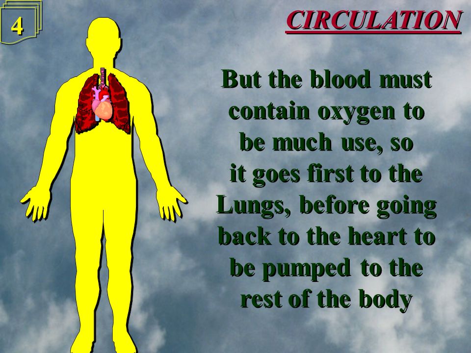 3 3 The Heart is the pump that shifts Blood around the body under pressure The Heart is the pump that shifts Blood around the body under pressure