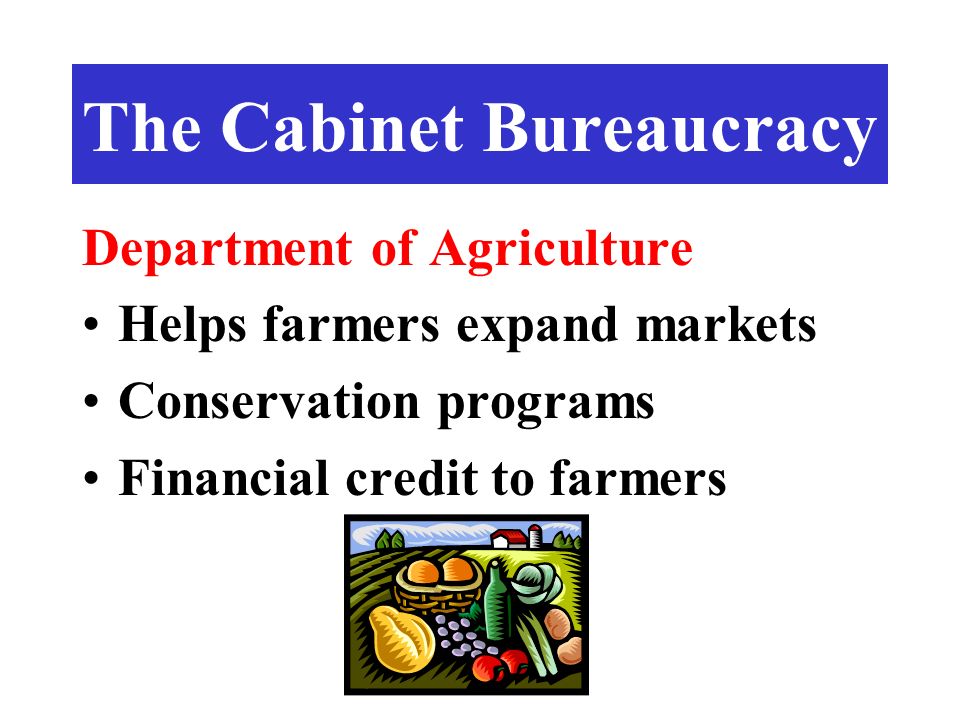 Department of Agriculture Helps farmers expand markets Conservation programs Financial credit to farmers The Cabinet Bureaucracy