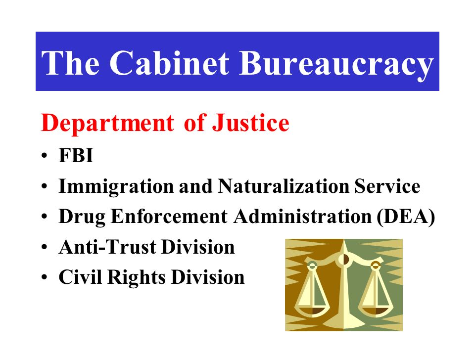 Department of Justice FBI Immigration and Naturalization Service Drug Enforcement Administration (DEA) Anti-Trust Division Civil Rights Division The Cabinet Bureaucracy