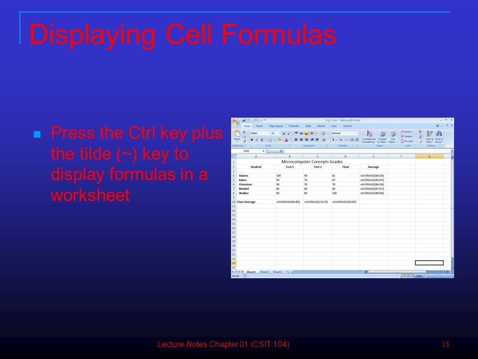 18 Displaying Cell Formulas Press the Ctrl key plus the tilde (~) key to display formulas in a worksheet Lecture Notes Chapter 01 (CSIT 104)