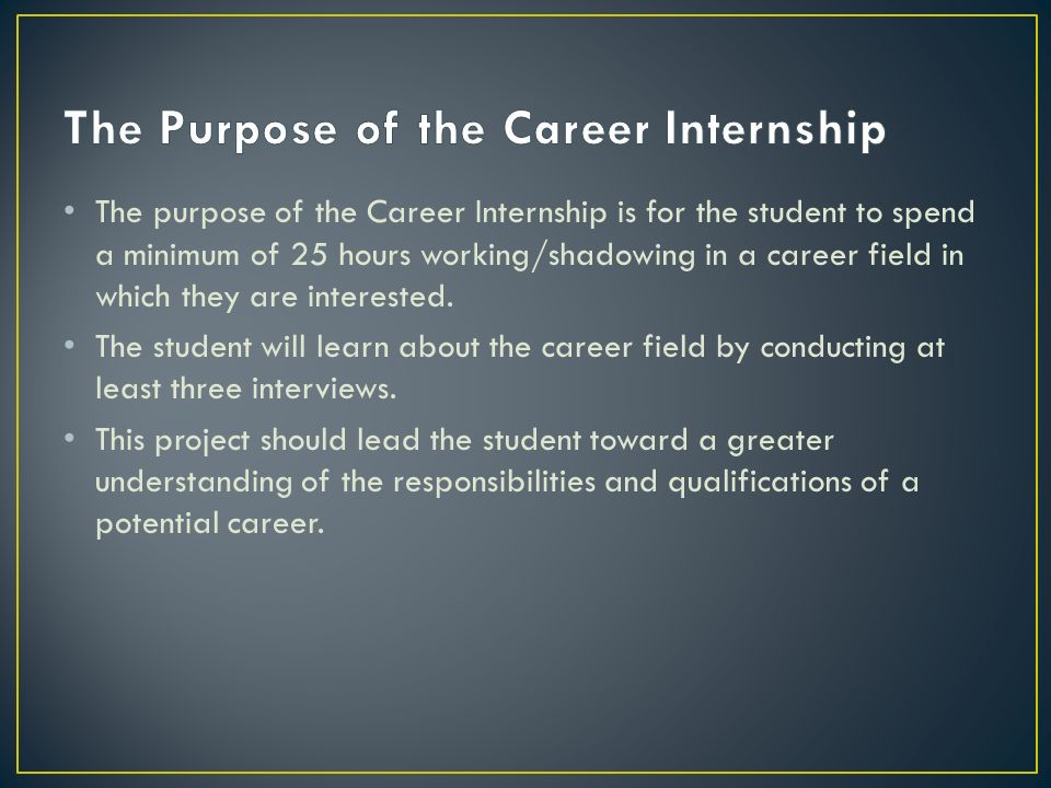 The Career Internship