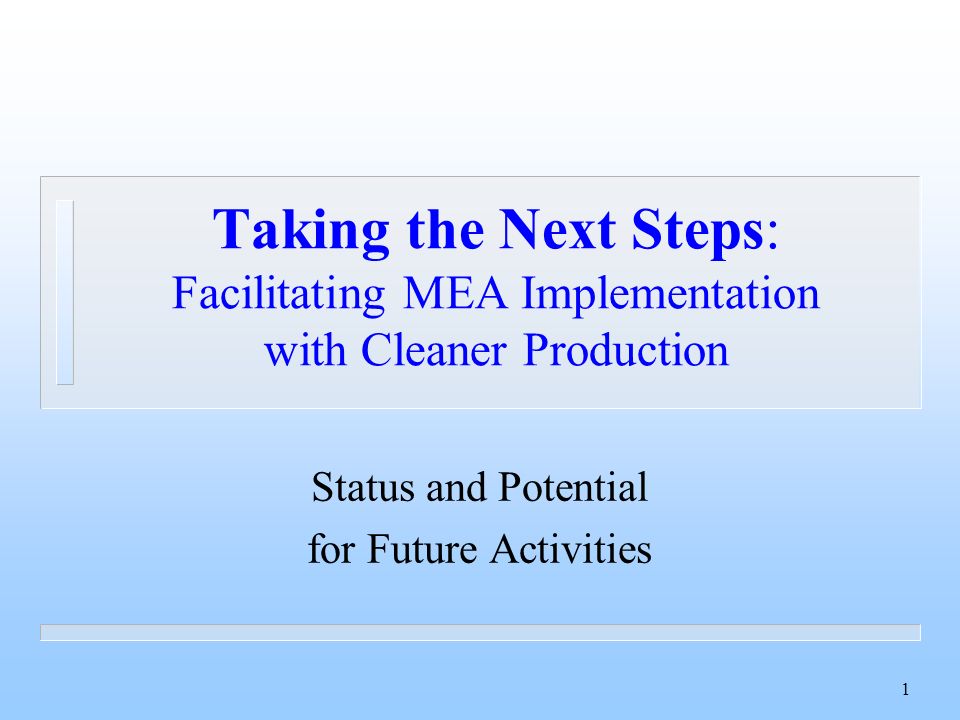 1 Taking the Next Steps: Facilitating MEA Implementation with Cleaner Production Status and Potential for Future Activities