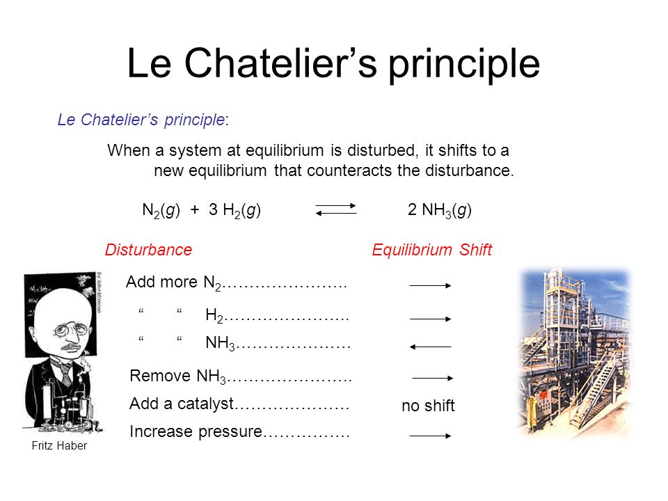 Lechatelier S Principle Equilibrium Lechatelier S Principle Co 2 Cao Caco 3 Chicken Breath Food Egg Shell I Wish I Had Sweat Glands As Temperature Ppt Download