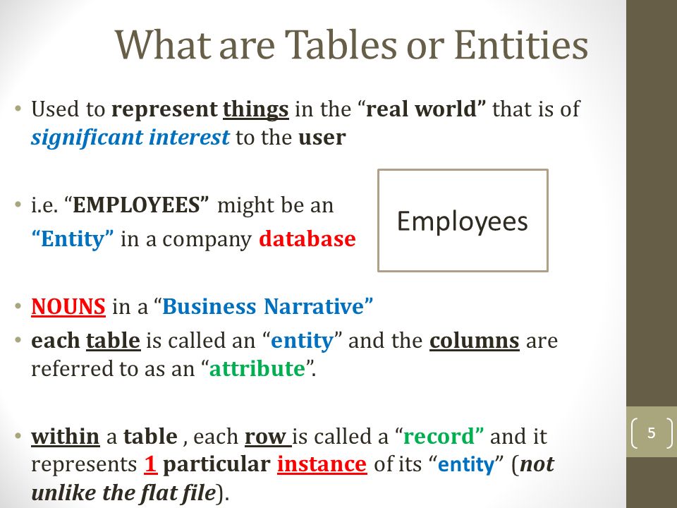 What are Tables or Entities Used to represent things in the real world that is of significant interest to the user i.e.