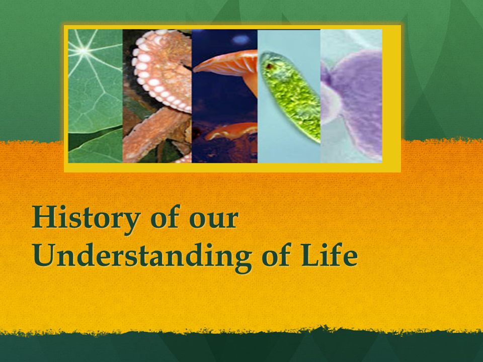 History of our Understanding of Life