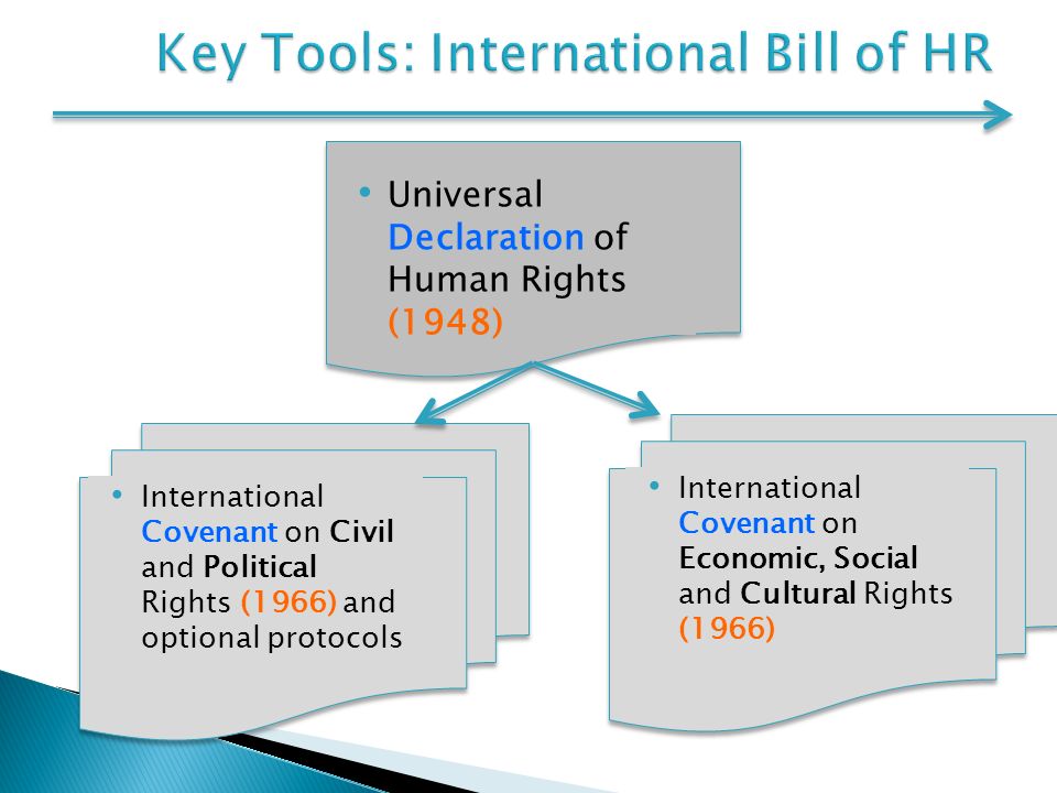 Universal Declaration of Human Rights (1948) International Covenant on Economic, Social and Cultural Rights (1966) International Covenant on Civil and Political Rights (1966) and optional protocols