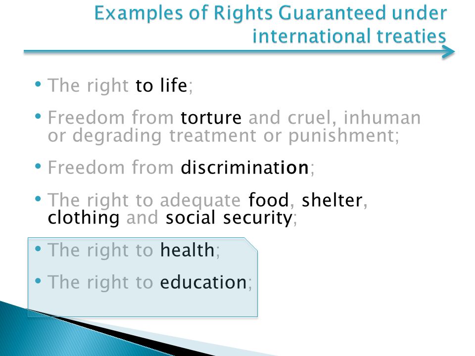 The right to life; Freedom from torture and cruel, inhuman or degrading treatment or punishment; Freedom from discrimination; The right to adequate food, shelter, clothing and social security; The right to health; The right to education;