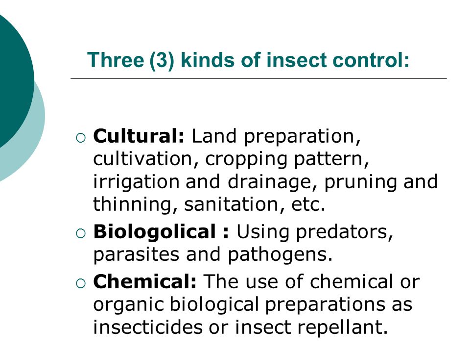 Three (3) kinds of insect control:  Cultural: Land preparation, cultivation, cropping pattern, irrigation and drainage, pruning and thinning, sanitation, etc.
