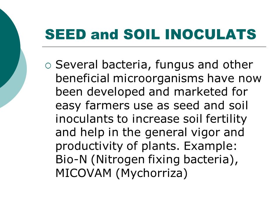 SEED and SOIL INOCULATS  Several bacteria, fungus and other beneficial microorganisms have now been developed and marketed for easy farmers use as seed and soil inoculants to increase soil fertility and help in the general vigor and productivity of plants.