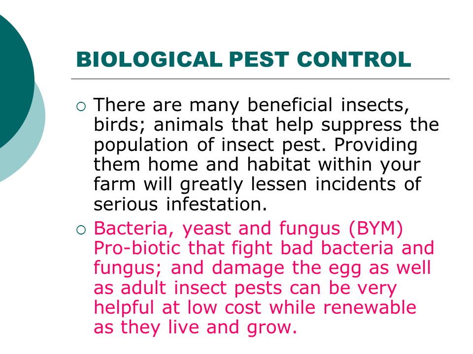 BIOLOGICAL PEST CONTROL  There are many beneficial insects, birds; animals that help suppress the population of insect pest.