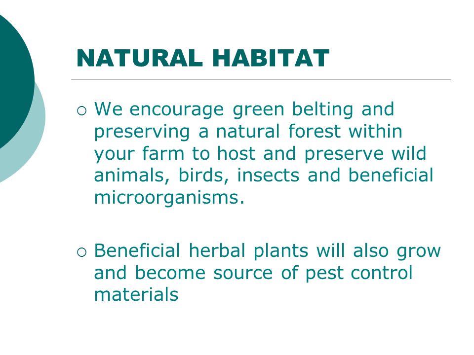 NATURAL HABITAT  We encourage green belting and preserving a natural forest within your farm to host and preserve wild animals, birds, insects and beneficial microorganisms.