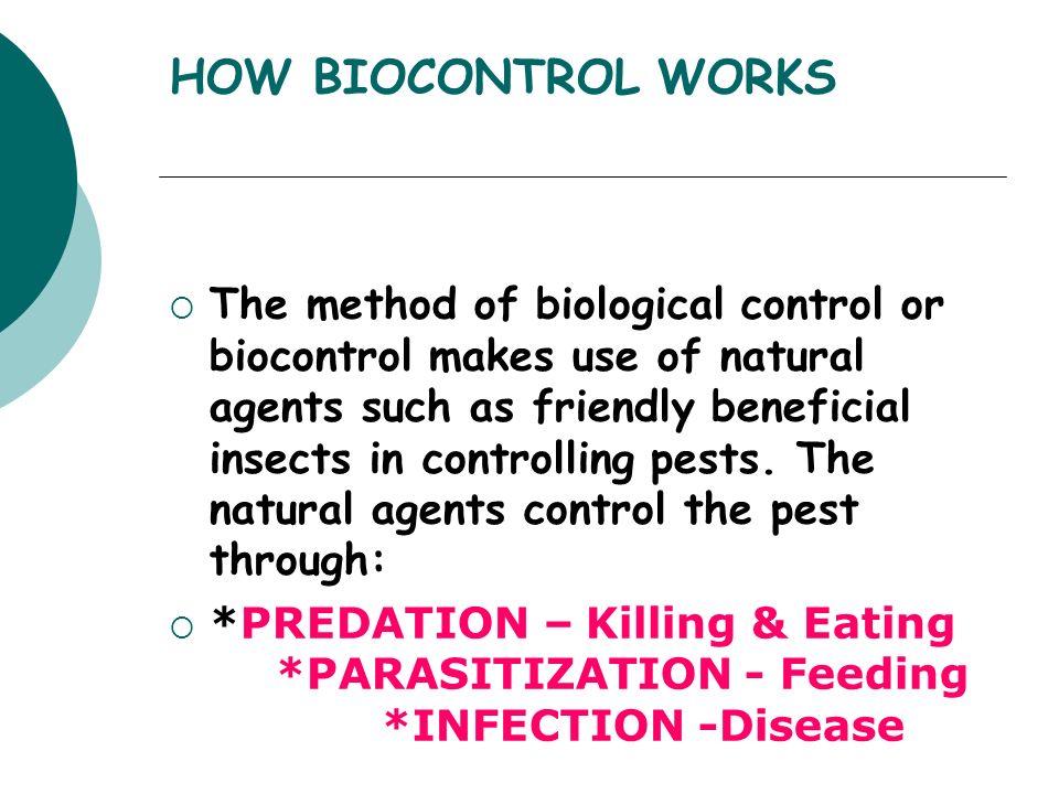 HOW BIOCONTROL WORKS  The method of biological control or biocontrol makes use of natural agents such as friendly beneficial insects in controlling pests.