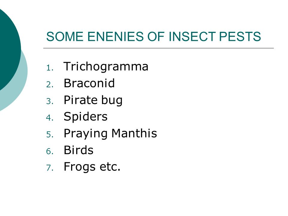 SOME ENENIES OF INSECT PESTS 1. Trichogramma 2. Braconid 3.
