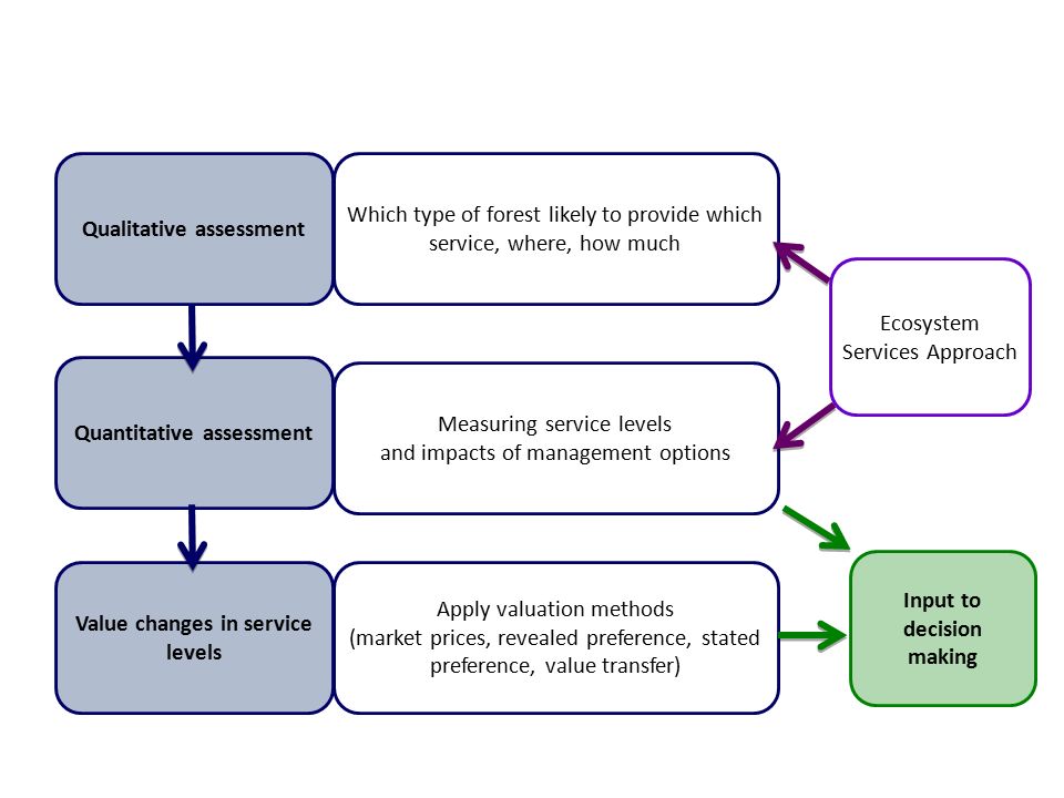 Qualitative assessment Quantitative assessment Value changes in service levels Which type of forest likely to provide which service, where, how much Measuring service levels and impacts of management options Apply valuation methods (market prices, revealed preference, stated preference, value transfer) Ecosystem Services Approach Input to decision making