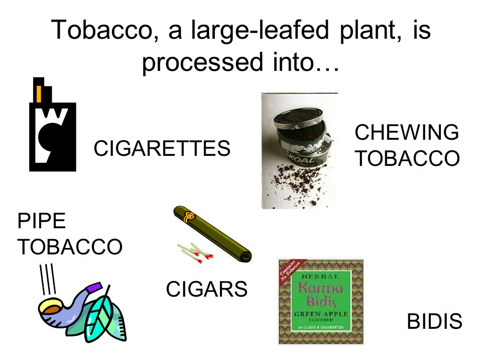 Is pipe tobacco healthier than cigarette tobacco?