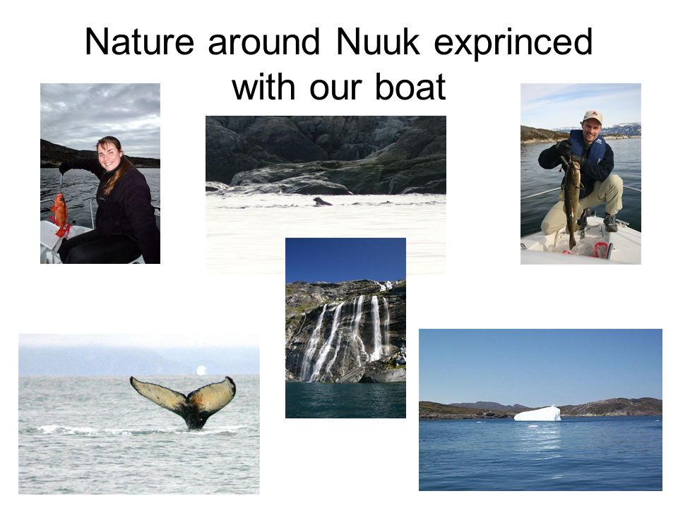 Nature around Nuuk exprinced with our boat