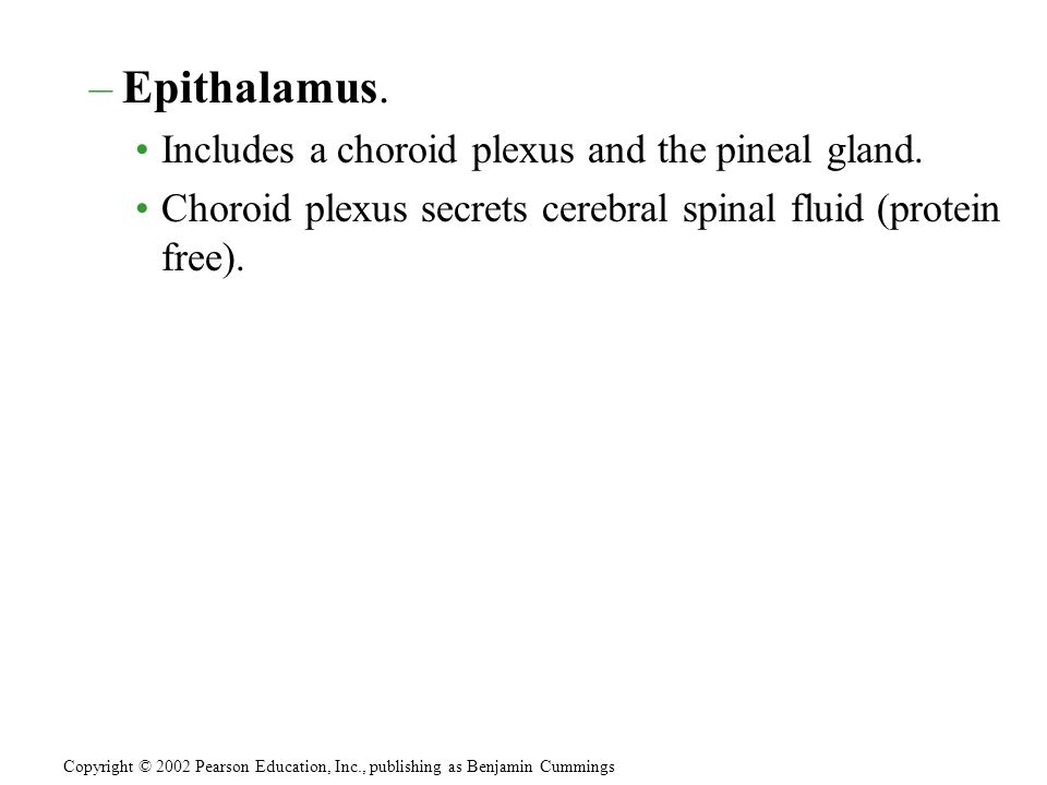 –Epithalamus. Includes a choroid plexus and the pineal gland.