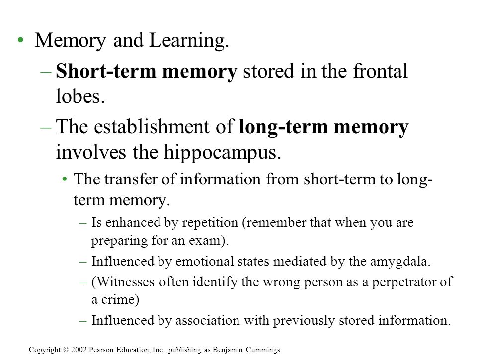 Memory and Learning. –Short-term memory stored in the frontal lobes.
