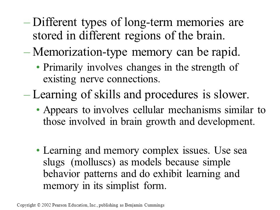 –Different types of long-term memories are stored in different regions of the brain.