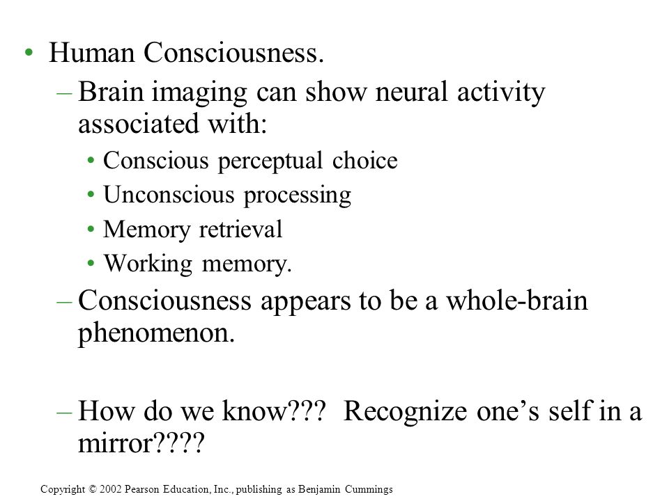 Human Consciousness.