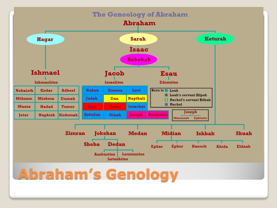Abraham’s Genology