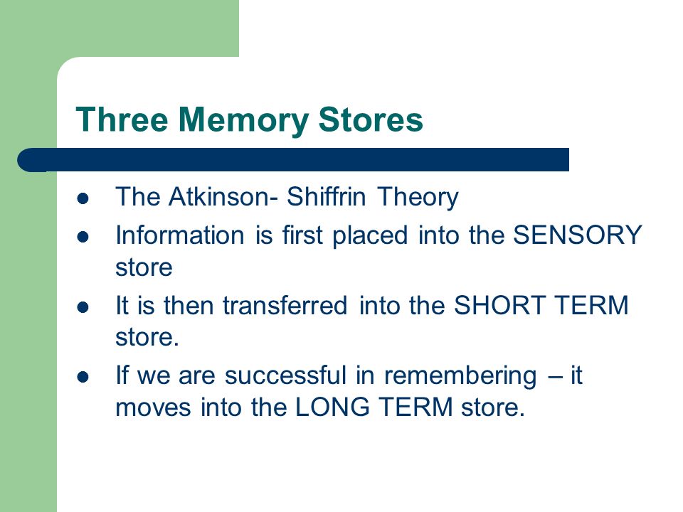 Three Memory Stores The Atkinson- Shiffrin Theory Information is first placed into the SENSORY store It is then transferred into the SHORT TERM store.