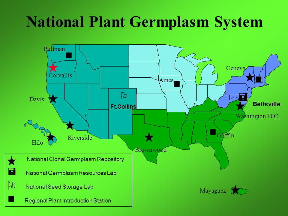National Plant Germplasm System  Ft.Collins Beltsville Corvallis Davis Riverside Hilo Brownwood Mayaguez Geneva Washington D.C.