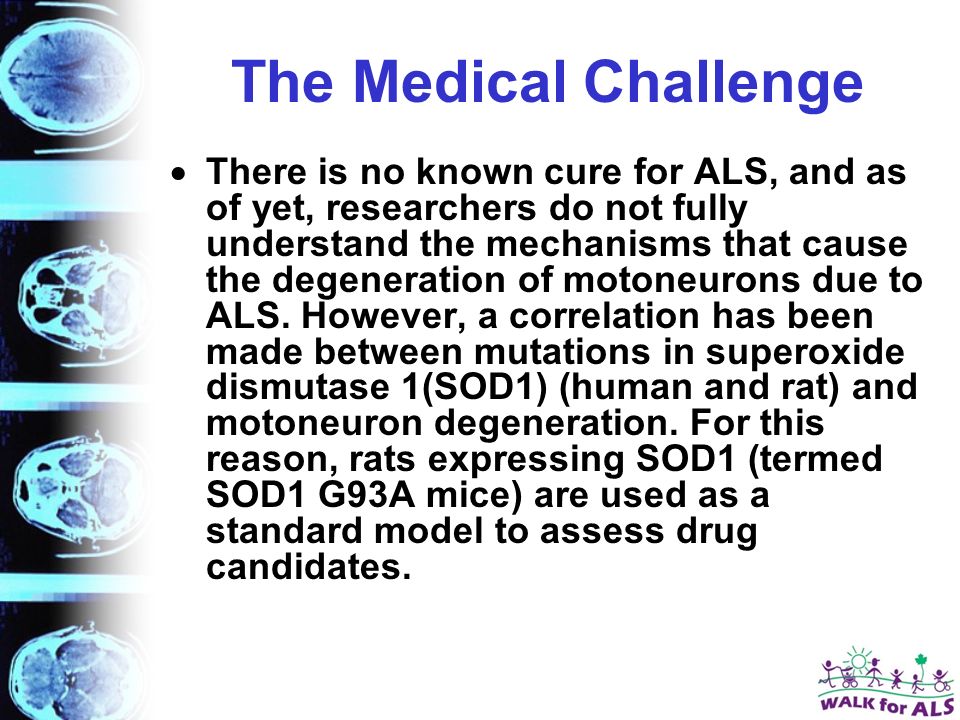 The Medical Challenge  There is no known cure for ALS, and as of yet, researchers do not fully understand the mechanisms that cause the degeneration of motoneurons due to ALS.