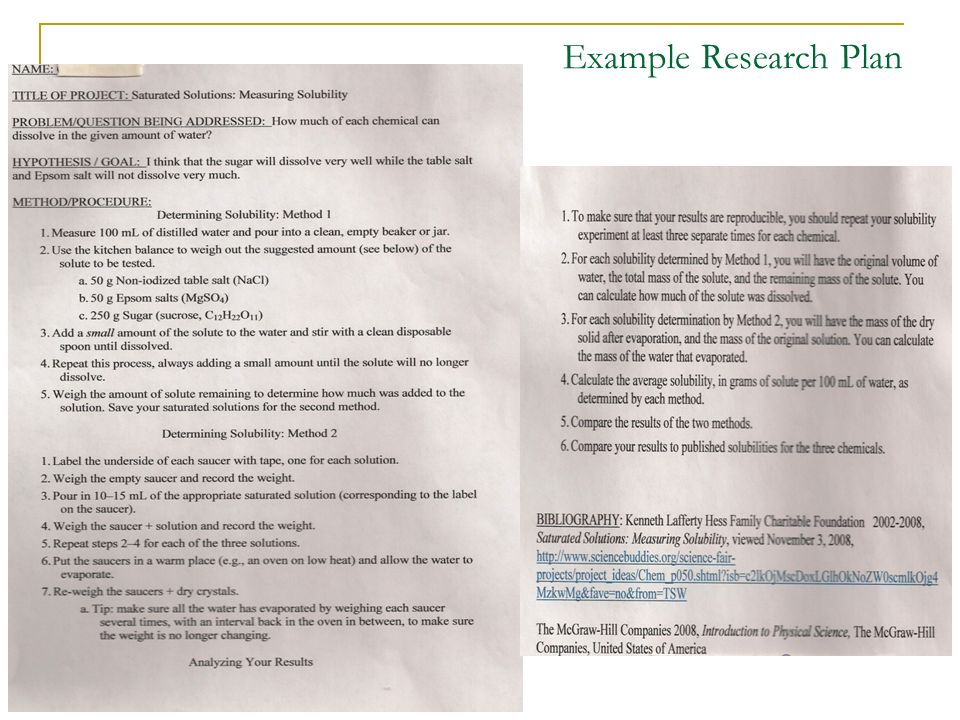Example Research Plan