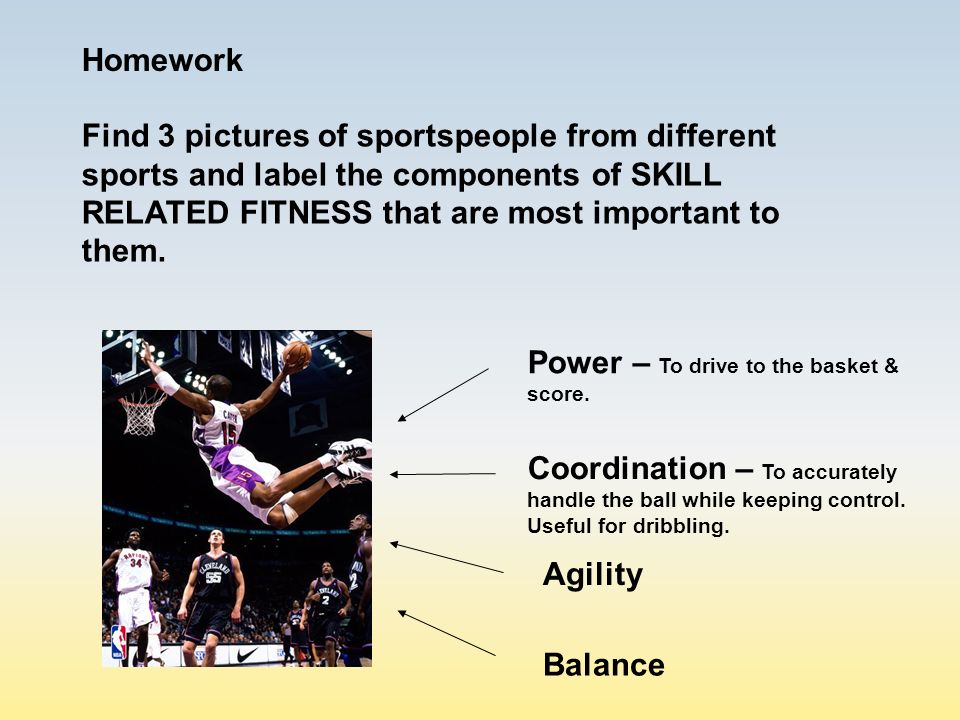 Homework Find 3 pictures of sportspeople from different sports and label the components of SKILL RELATED FITNESS that are most important to them.