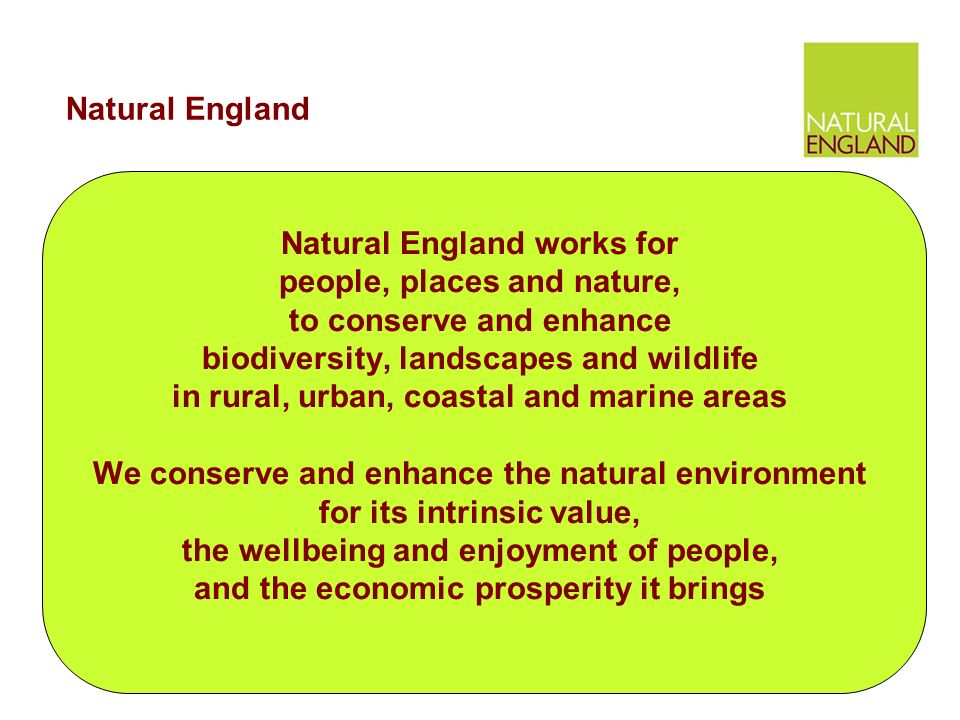 Natural England works for people, places and nature, to conserve and enhance biodiversity, landscapes and wildlife in rural, urban, coastal and marine areas We conserve and enhance the natural environment for its intrinsic value, the wellbeing and enjoyment of people, and the economic prosperity it brings Natural England