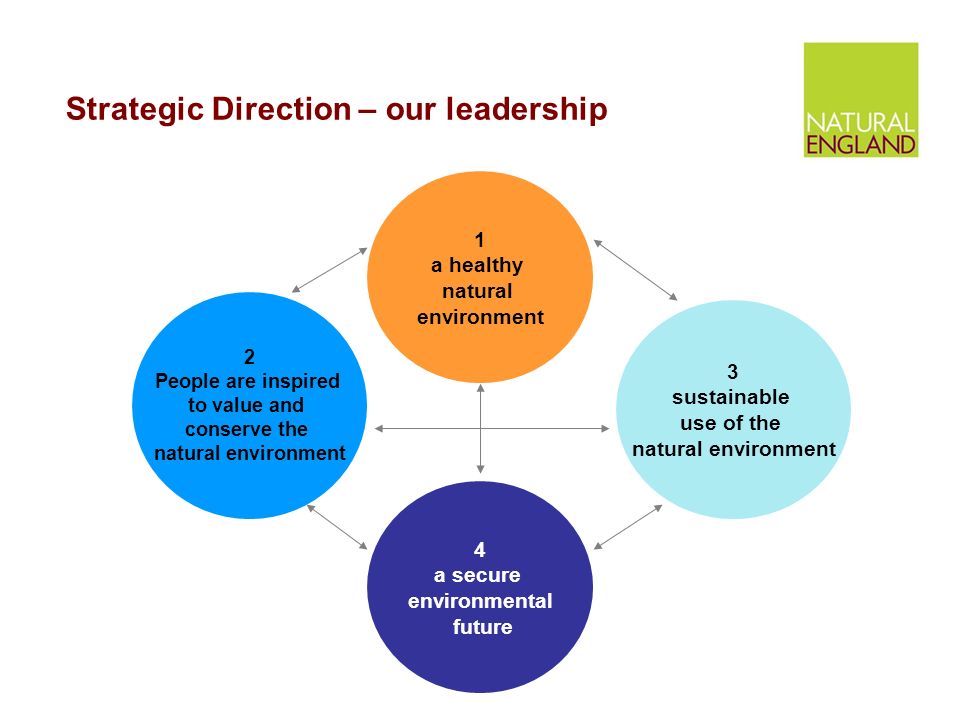 Strategic Direction – our leadership 1 a healthy natural environment 2 People are inspired to value and conserve the natural environment 3 sustainable use of the natural environment 4 a secure environmental future