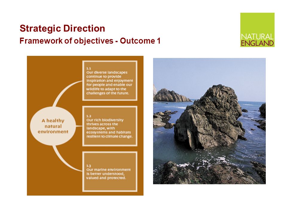 Strategic Direction Framework of objectives - Outcome 1