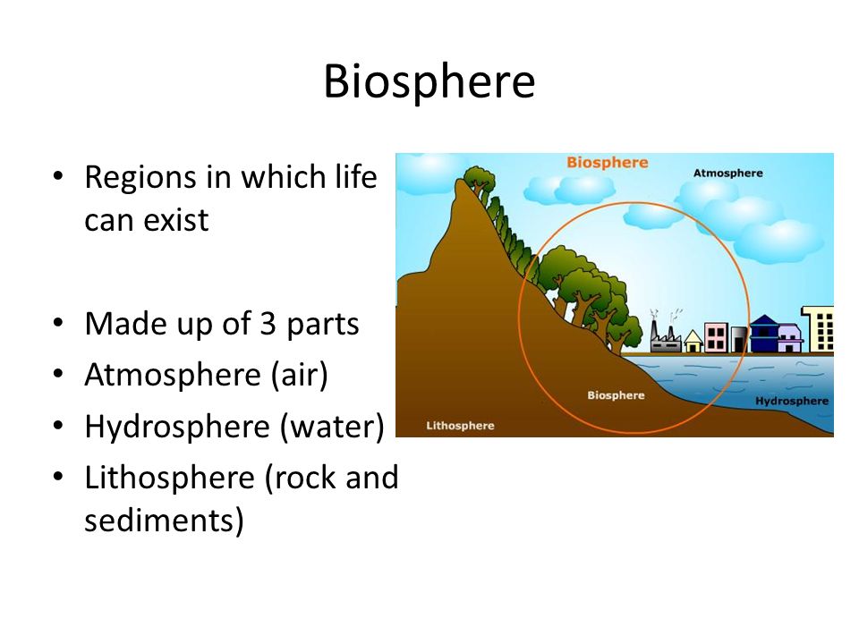 lithosphere hydrosphere atmosphere biosphere