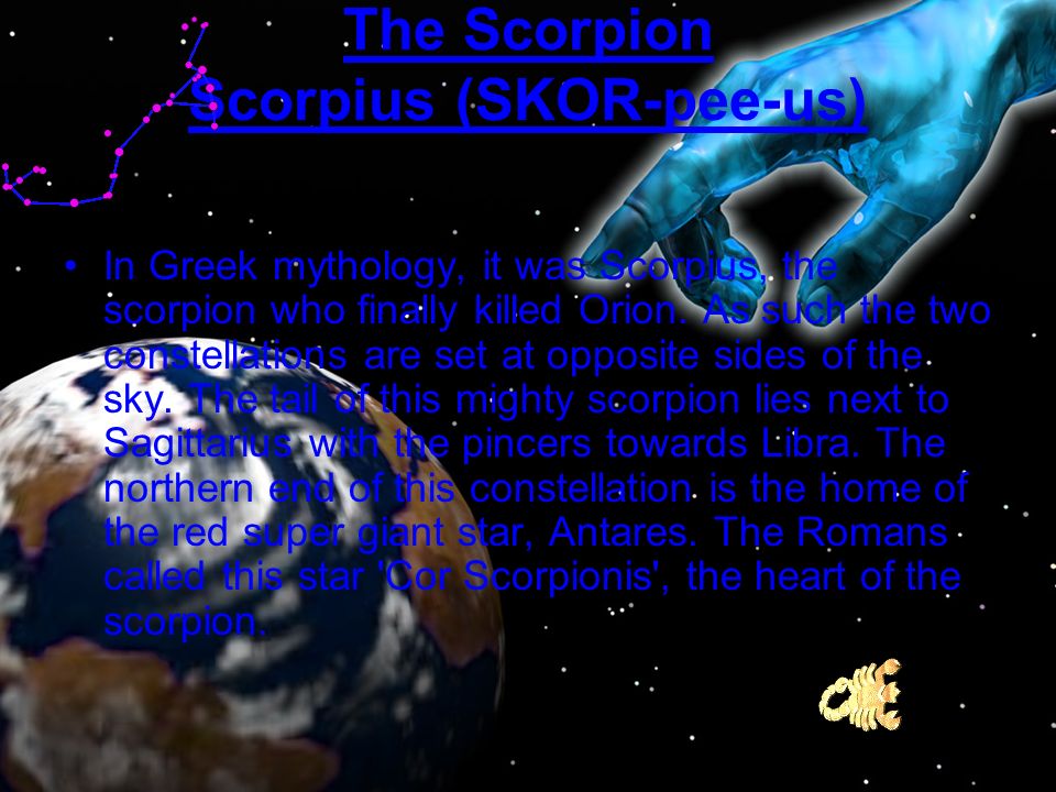 The Scorpion Scorpius (SKOR-pee-us) In Greek mythology, it was Scorpius, the scorpion who finally killed Orion.