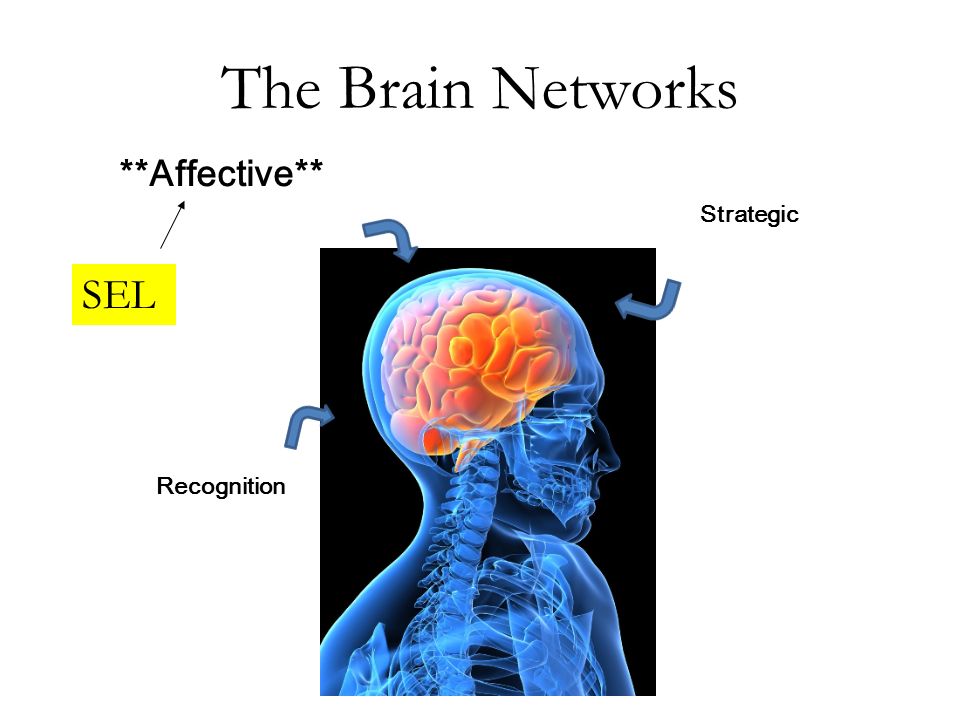 The Brain Networks Recognition Strategic **Affective** SEL