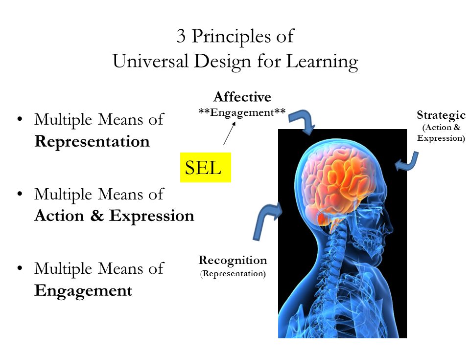 Multiple Means of Representation Multiple Means of Action & Expression Multiple Means of Engagement 3 Principles of Universal Design for Learning Recognition (Representation) Strategic (Action & Expression) Affective **Engagement** SEL