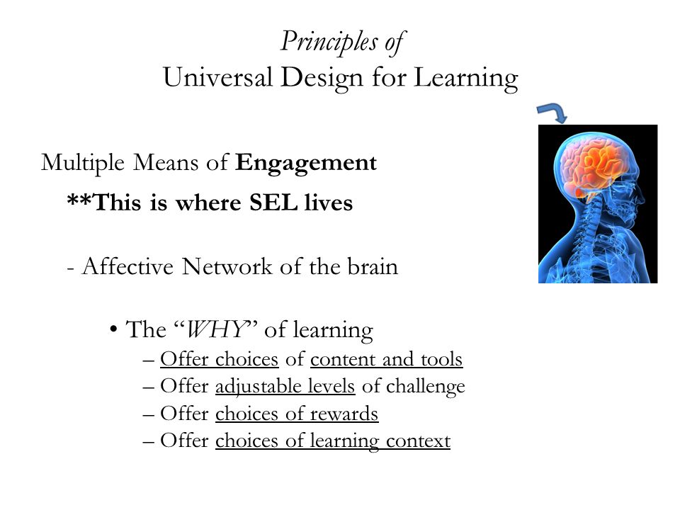 Principles of Universal Design for Learning Multiple Means of Engagement **This is where SEL lives - Affective Network of the brain The WHY of learning –Offer choices of content and tools –Offer adjustable levels of challenge –Offer choices of rewards –Offer choices of learning context